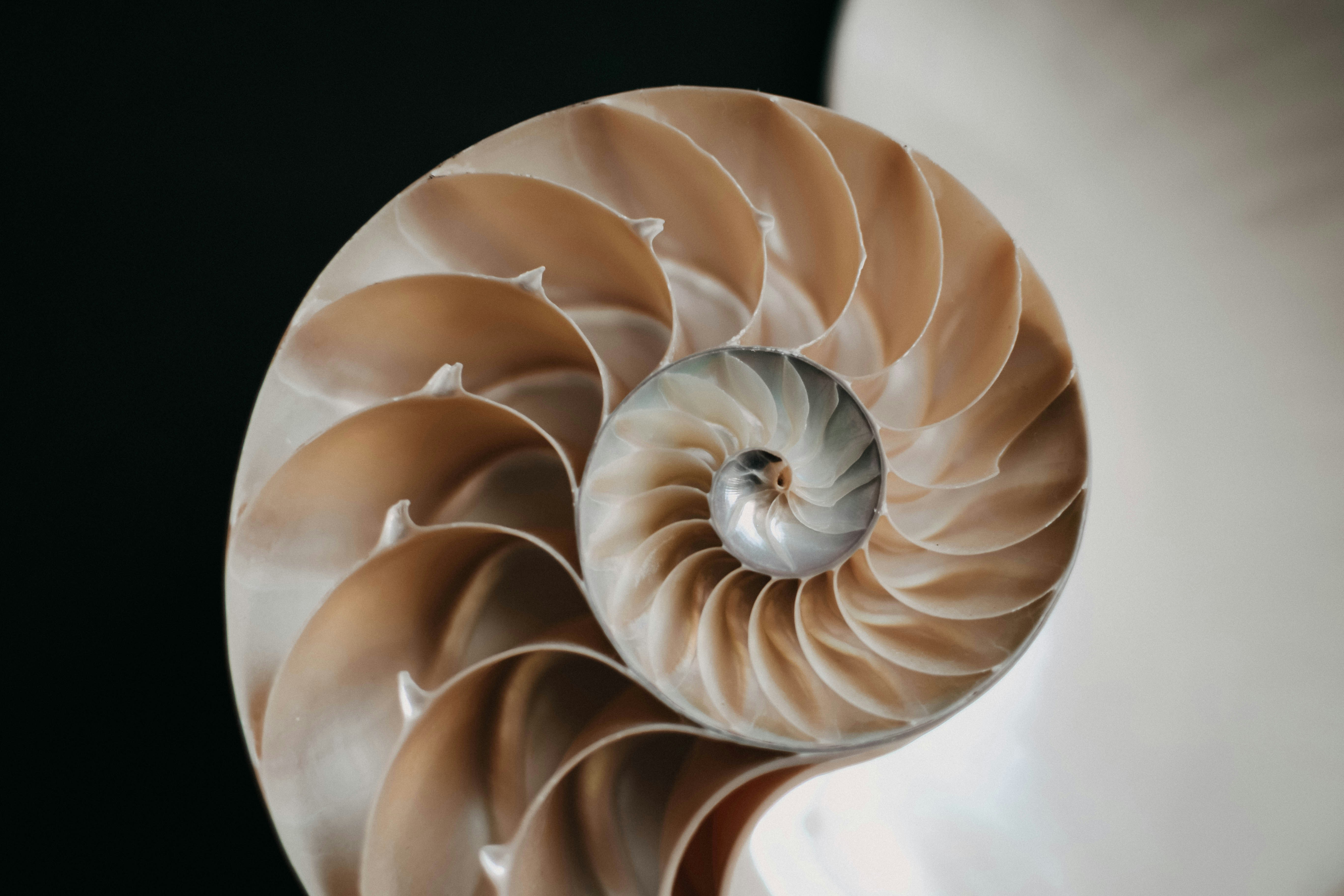 Photo by Content Pixie on Unsplash